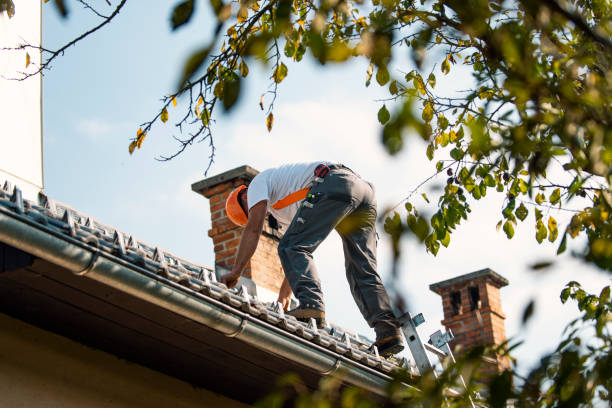 Best Roof Waterproofing Services  in Kodi, AK