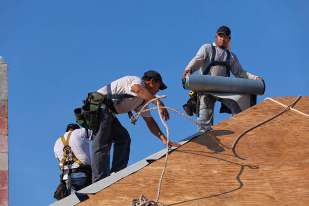 Best Roof Repair Services  in Kodi, AK