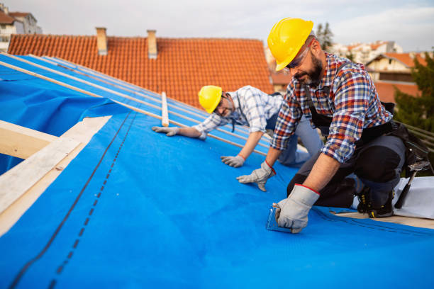 Best Roof Waterproofing Services  in Kodi, AK